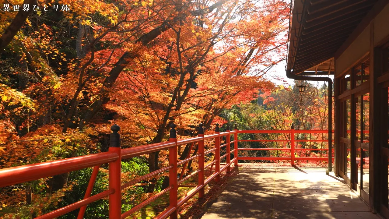 紅葉の名所、今熊野観音寺（いまくまのかんのんじ）を訪ねて