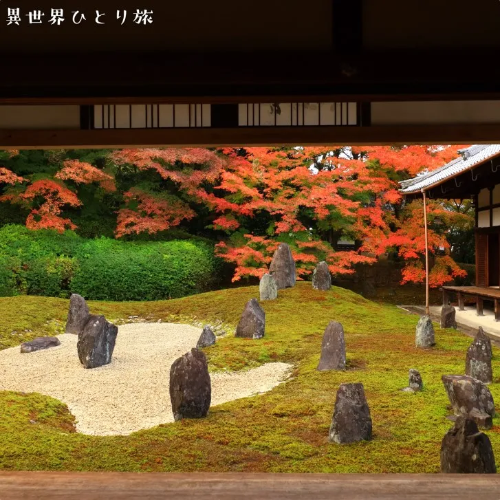 【虹の苔寺】光明院（こうみょういん）の紅葉を訪ねて｜京都東山区