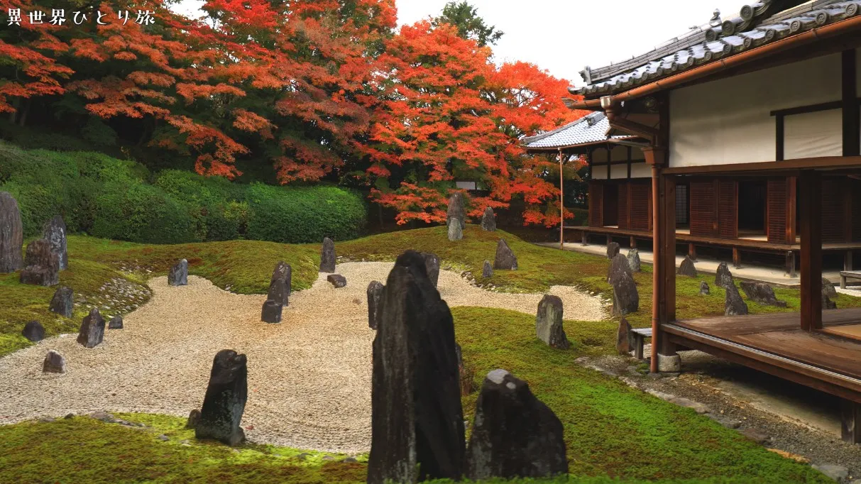 虹の苔寺、光明院（こうみょういん）の紅葉を訪ねて｜京都東山区