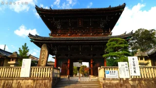 【紅葉の名所】清凉寺（せいりょうじ）を訪ねて｜京都市右京区