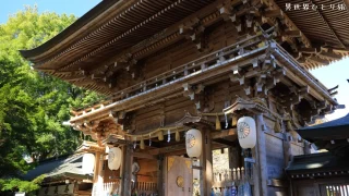 【スピリチュアルで有名】伊佐須美神社を訪ねて｜福島県会津美里町