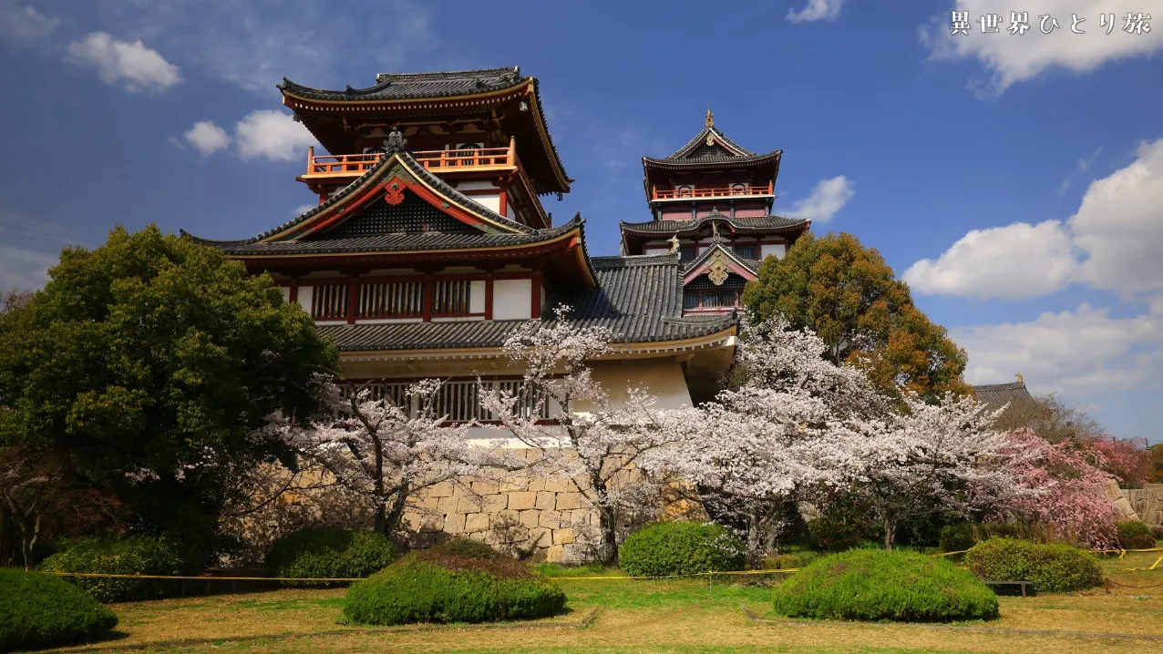 伏見桃山城の桜景色を訪ねて｜京都市伏見区