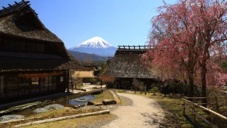 【富士山が見える集落】西湖いやしの里根場の桜絶景｜山梨県富士河口湖町
