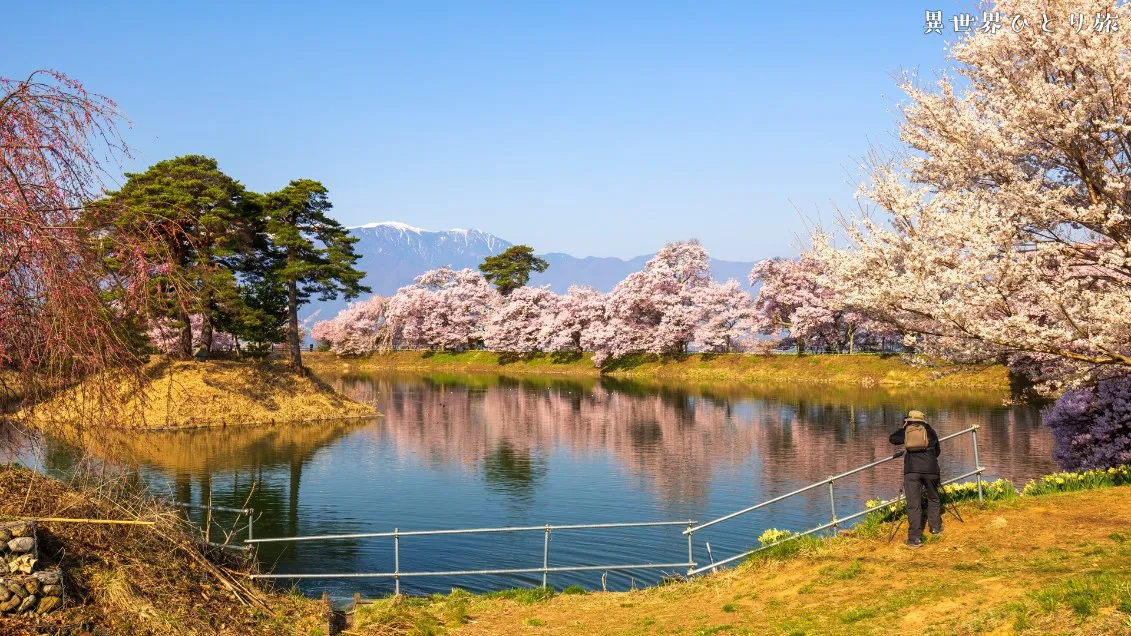 【長野、秘境の桜】六道堤の桜を訪ねて｜長野県伊那市