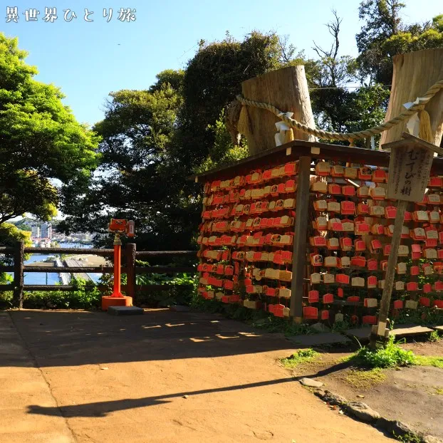 むすびの樹｜江の島の絶景スポット｜神奈川県藤沢市
