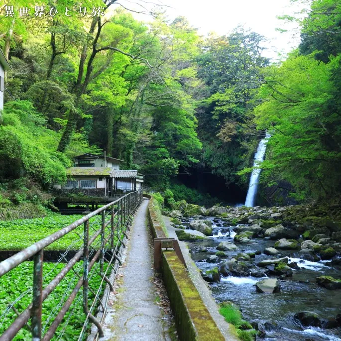浄蓮の滝（伊豆市）|静岡の絶景