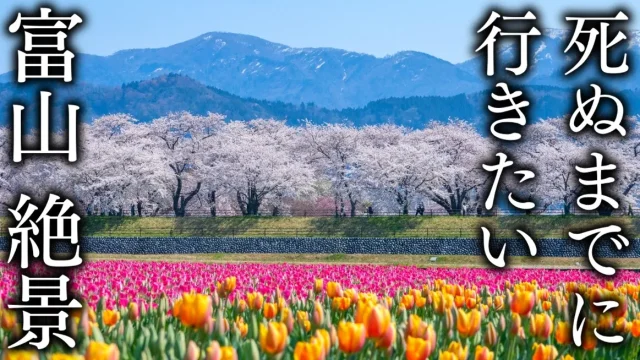 Toyama Prefecture's 16 Most Beautiful Spots to Visit Before You Die
