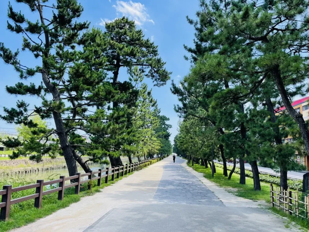 草加松原（そうかまつばら）遊歩道｜埼玉の絶景