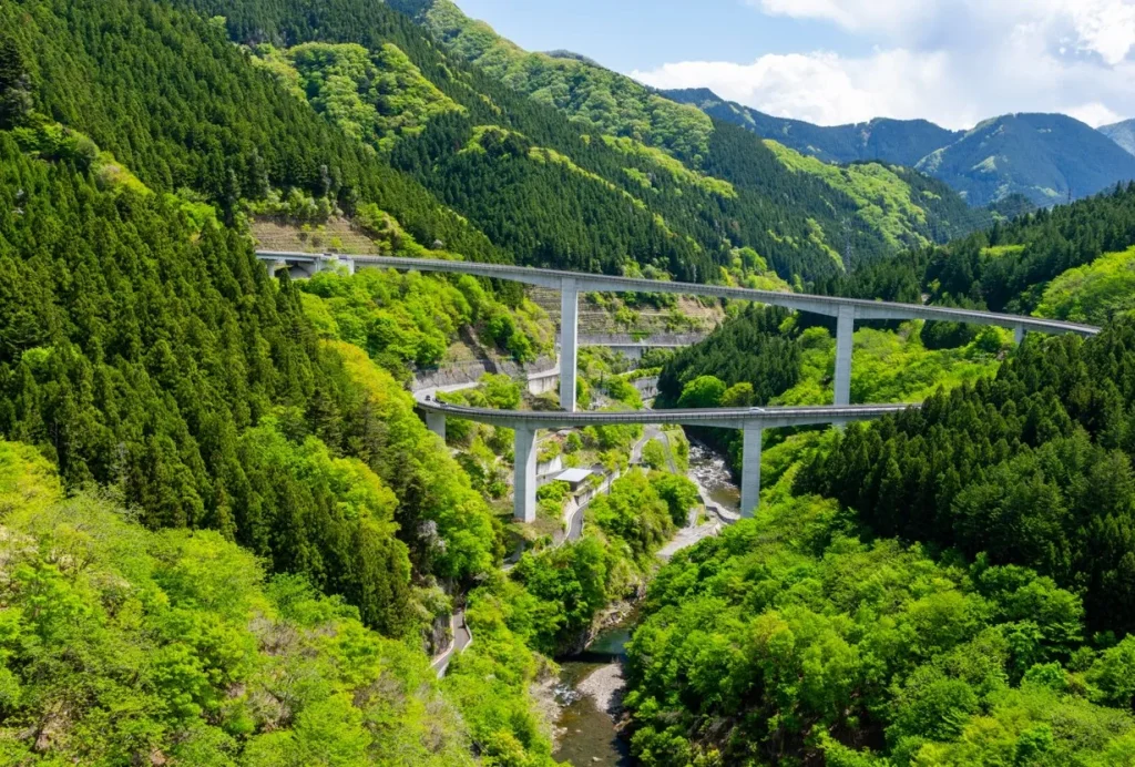 雷電廿六木橋（らいでんとどろきばし）｜埼玉の絶景