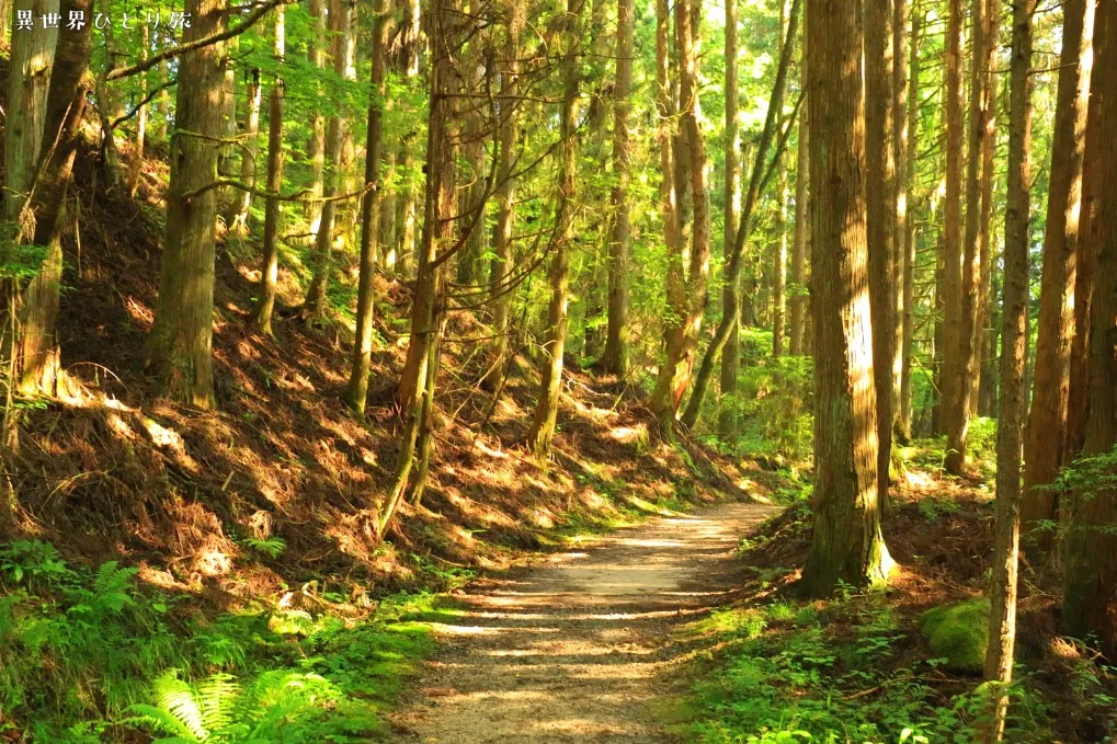 一石栃立場茶屋～神居木～中山道