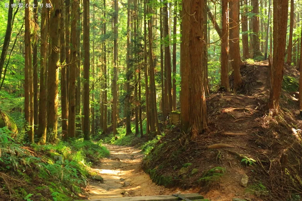 一石栃立場茶屋～神居木～中山道