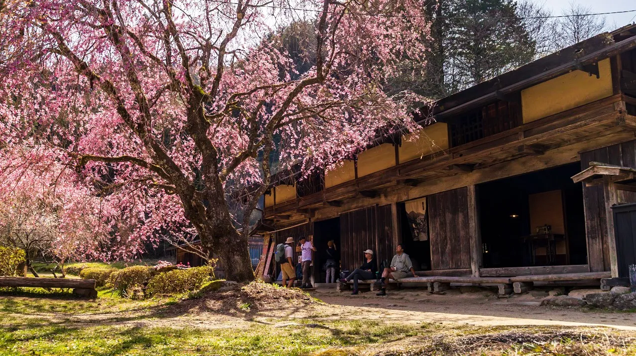 Walking Nakasendo the Samurai Trail popular among foreigners (map ...