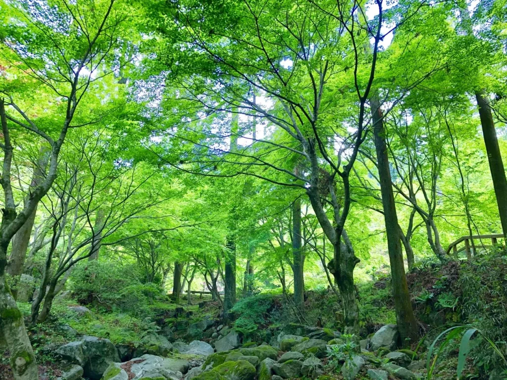 環境芸術の森｜佐賀県の観光