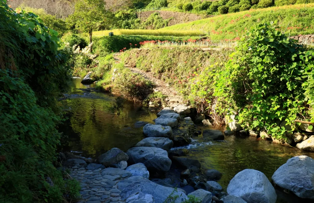 飛鳥川飛び石(上流側)｜奈良県明日香村の絶景