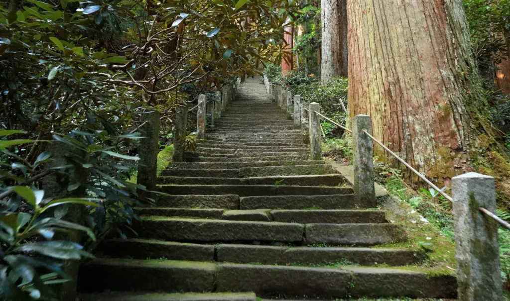 奥之院に続く長い階段｜室生寺