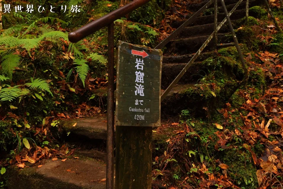 琵琶滝からまで岩窟滝まで約420ｍ｜赤目四十八滝の紅葉