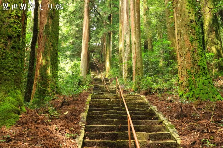 瀧神社、参道｜長い石段を登る