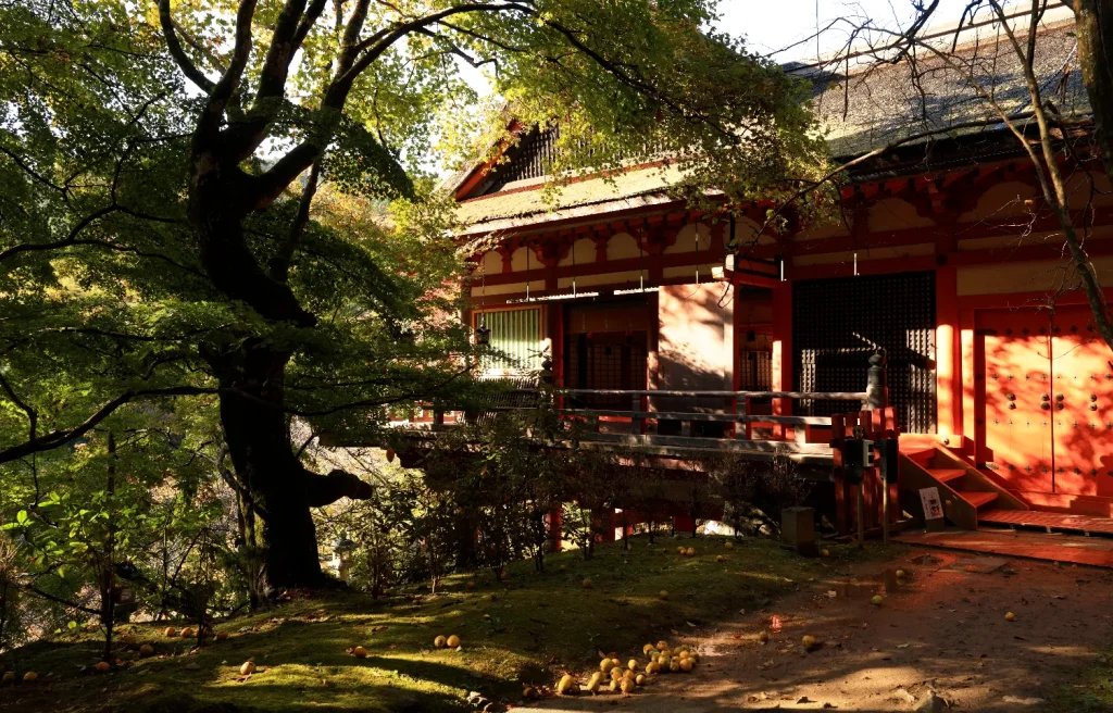 拝殿｜談山神社の紅葉