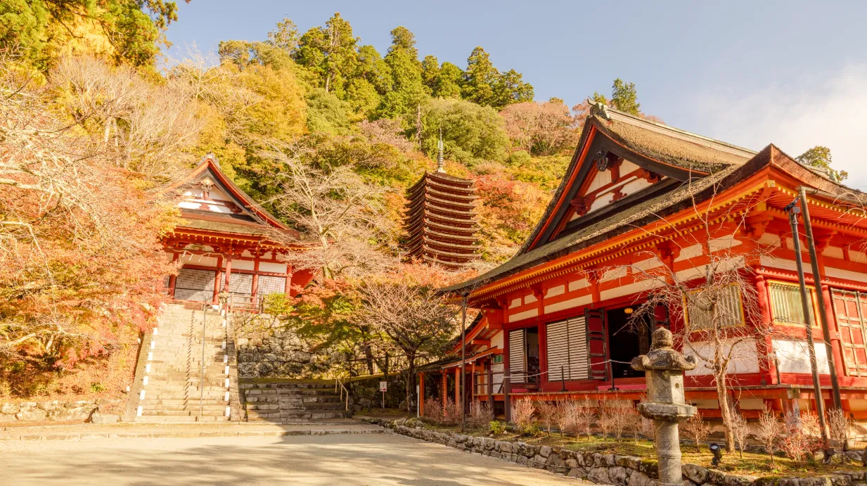 【奈良最強の紅葉名所】談山神社への行き方と写真スポット
