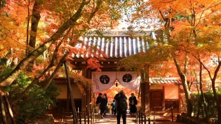 光明寺への行き方と拝観料・写真スポット｜京都長岡京市
