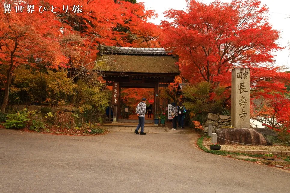 山門と受付｜長寿寺の紅葉
