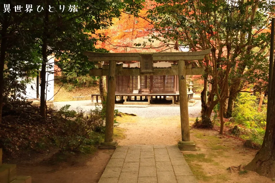 白山神社｜長寿寺の紅葉