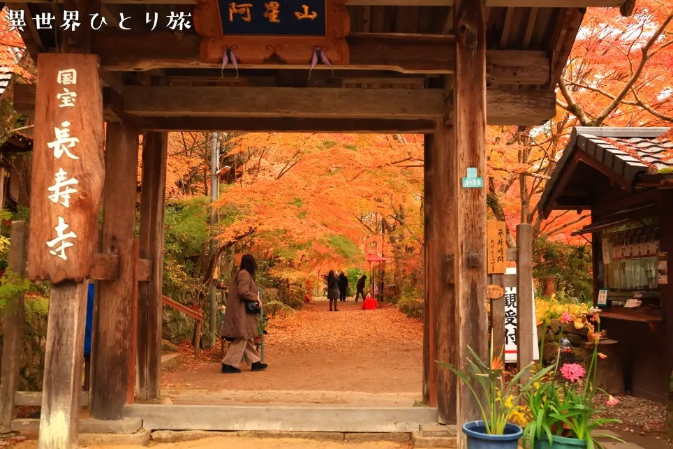 山門と受付｜長寿寺の紅葉