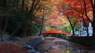 【スピリチュアルスポット】小國神社への行き方と写真スポットまとめ｜静岡県森町