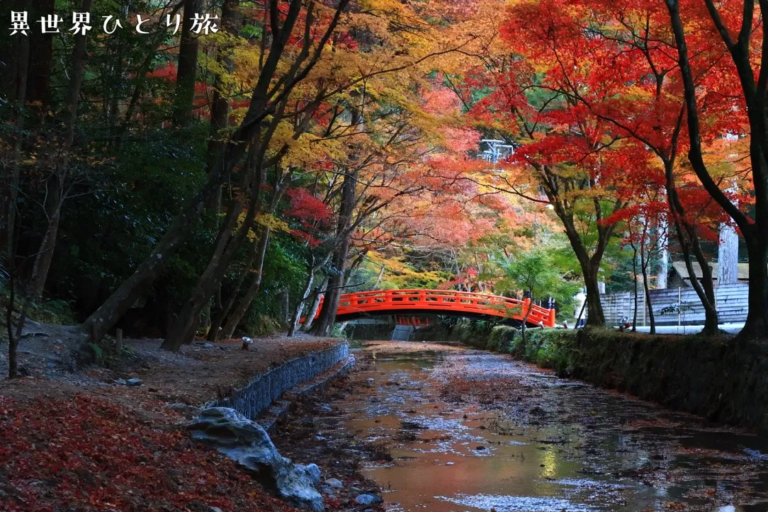 【スピリチュアルスポット】小國神社への行き方と写真スポットまとめ｜静岡県森町