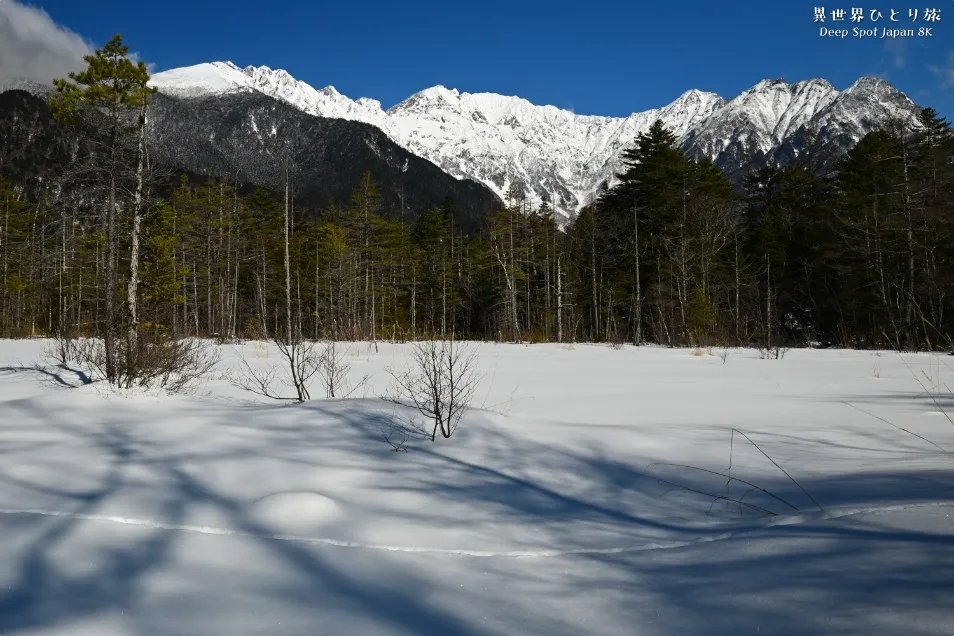 田代湿原｜上高地の雪景色の写真