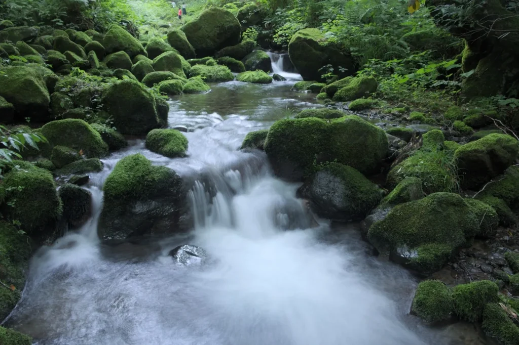 木谷沢渓流（きたにざわけいりゅう）｜鳥取県の絶景観光名所
