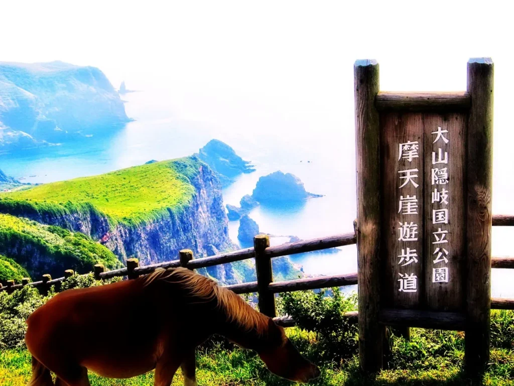 摩天崖 / 西ノ島（まてんがい / にしのしま）｜島根県の観光、絶景名所