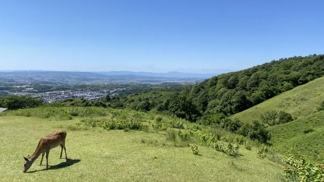 若草山（わかくさやま）｜奈良県の絶景&観光名所