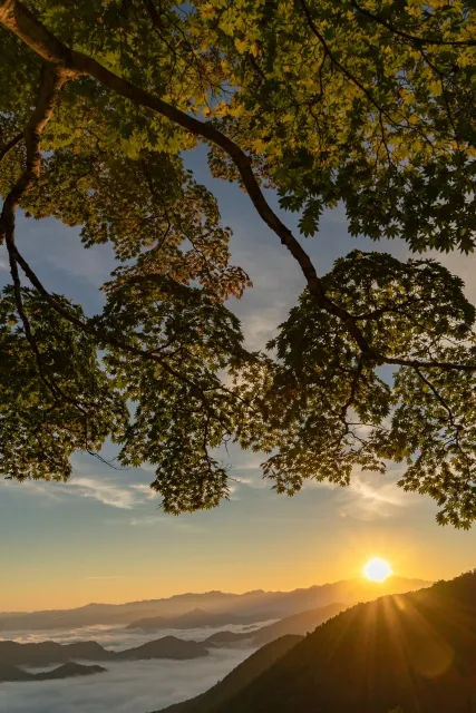野迫川村（のせがわむら）の雲海｜奈良県の絶景&観光名所