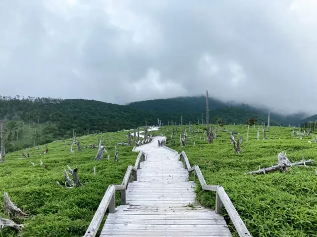 大台ヶ原（おおだいがはら）｜奈良県の絶景&観光名所