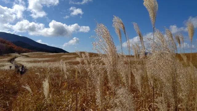 曽爾高原（そにこうげん）｜奈良県の絶景&観光名所